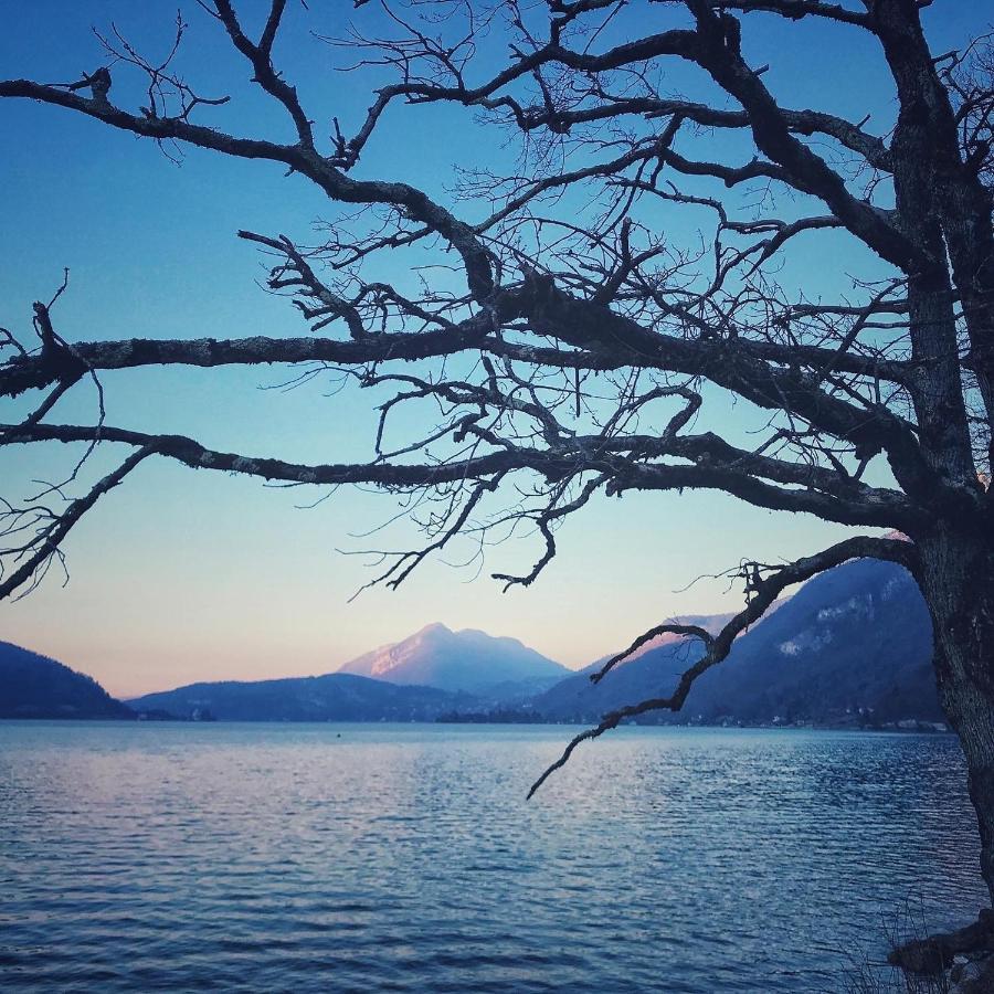 Reflet Bleu Du Lac D'Annecy 3 Etoiles - Face Au Lac, Parking Gratuit, Paddle Board ドゥサール エクステリア 写真